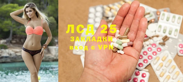 винт Верея
