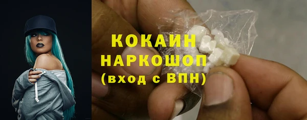 винт Верея