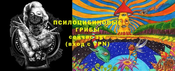 сатива Верхнеуральск