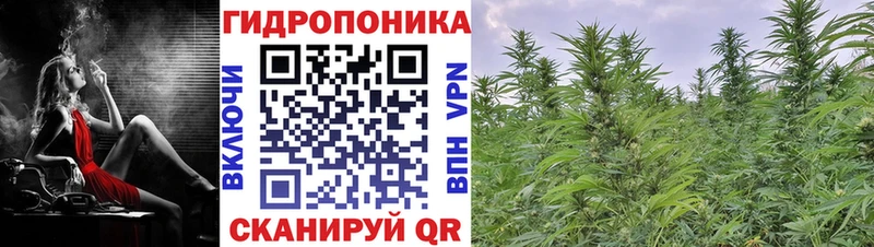 Каннабис Bruce Banner  Купить закладки  Киржач 